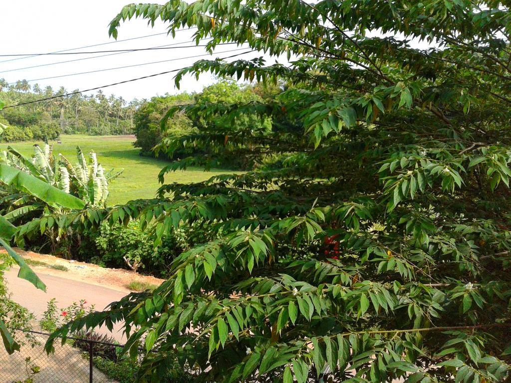 Green View Guest Мирисса Экстерьер фото